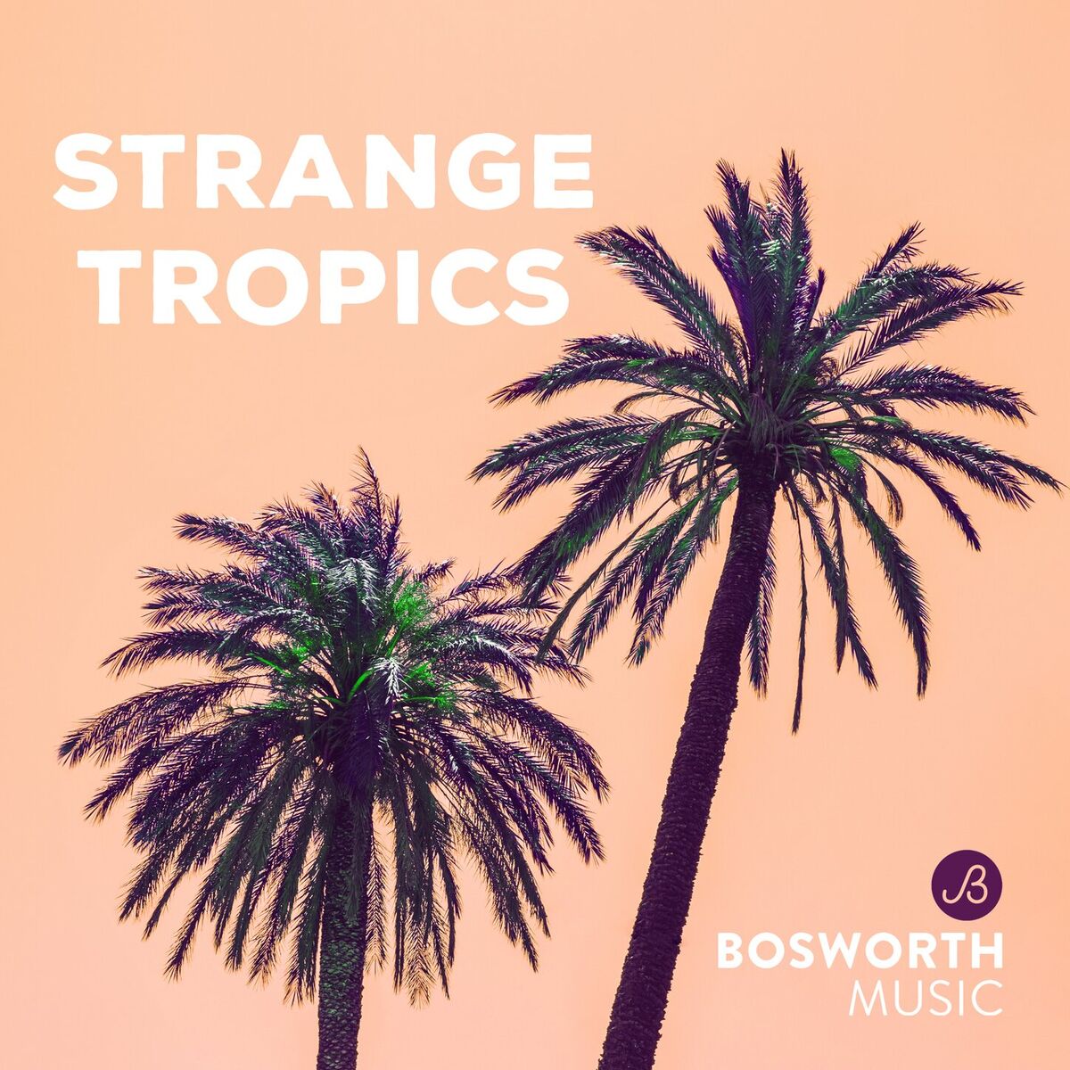 Album cover of Strange Tropics