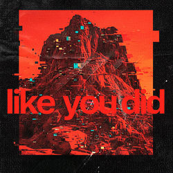 Cover of Like You Did by undefined