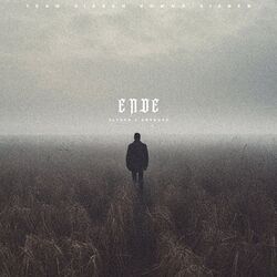 Cover of Ende