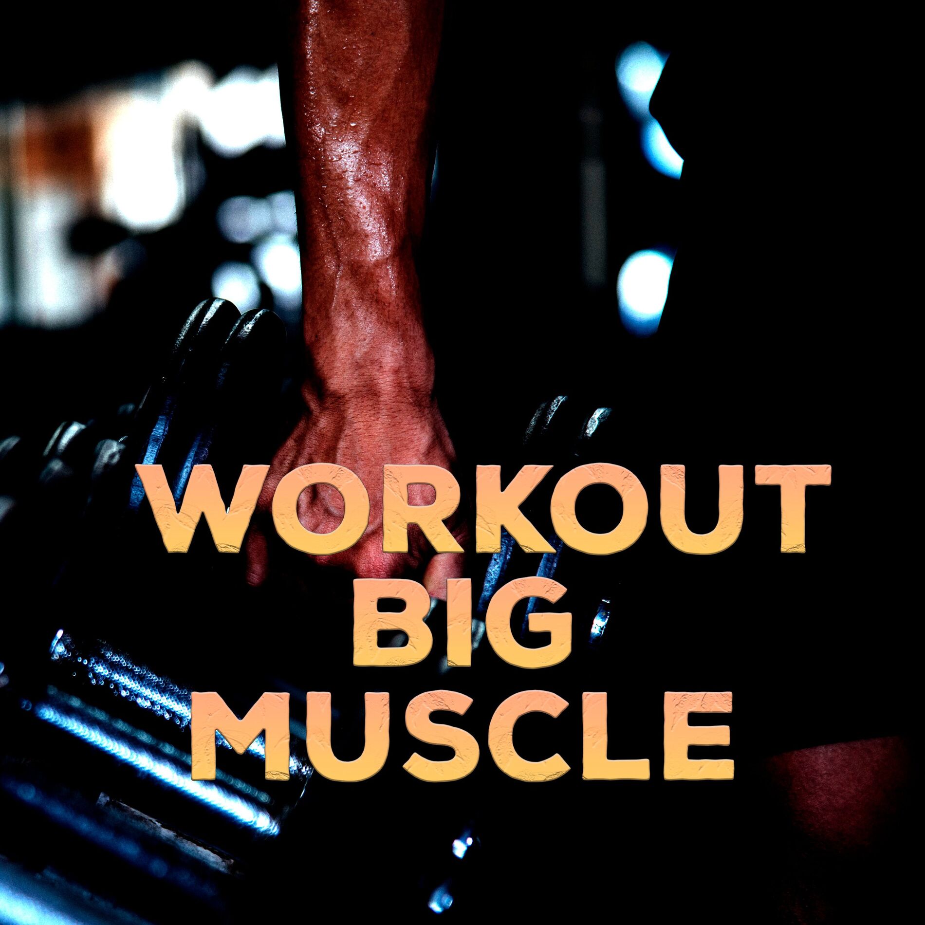 Album cover of Workout Big Muscle