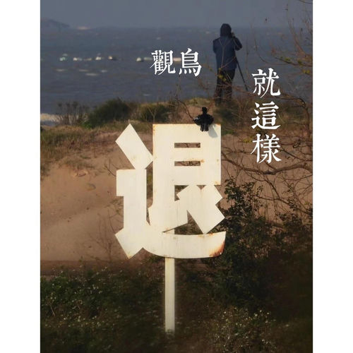 观鸟人就这样