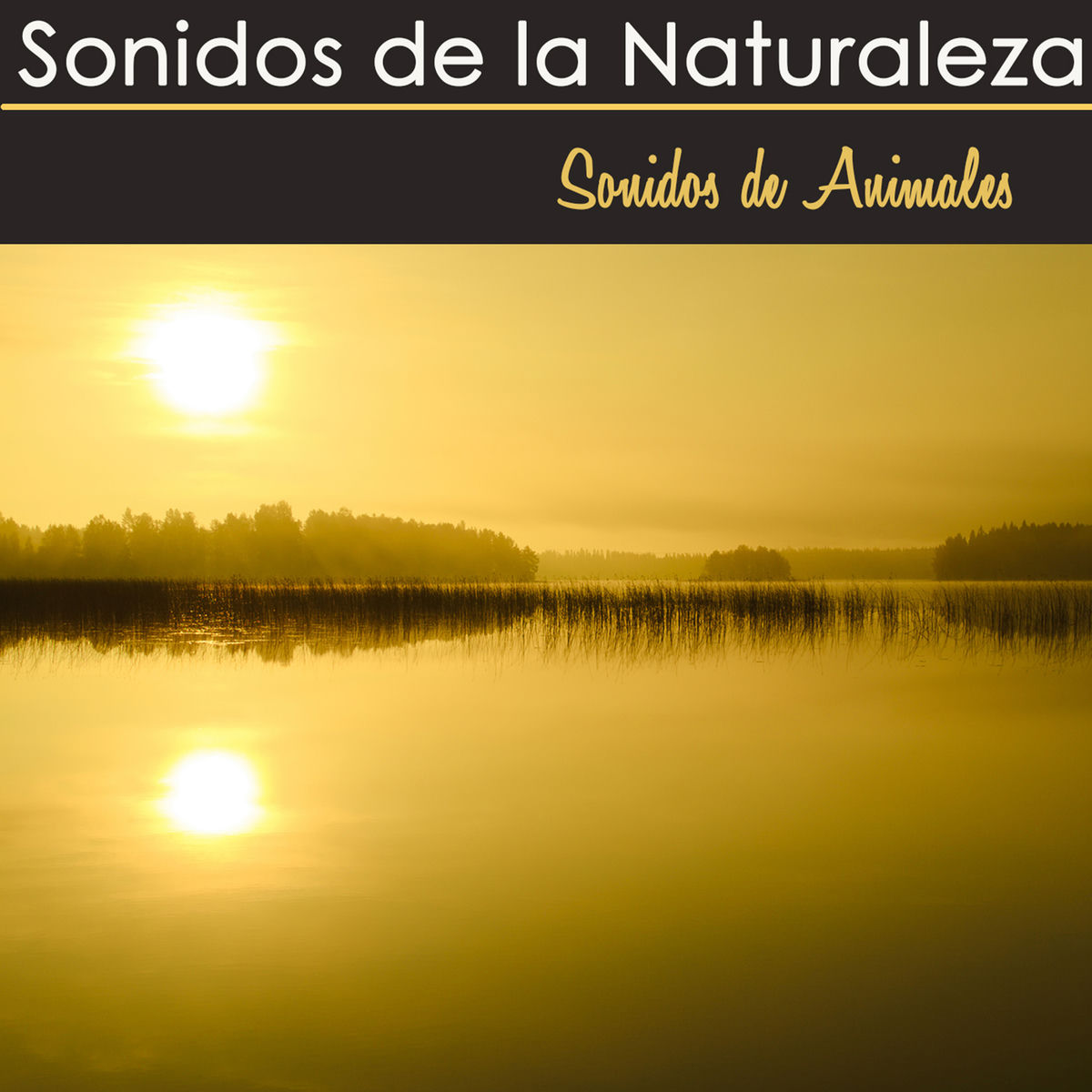 Album picture of Sonidos de la Naturaleza – Sonido de Animales, Musica Relajante con Aves, Delfines y Grillos