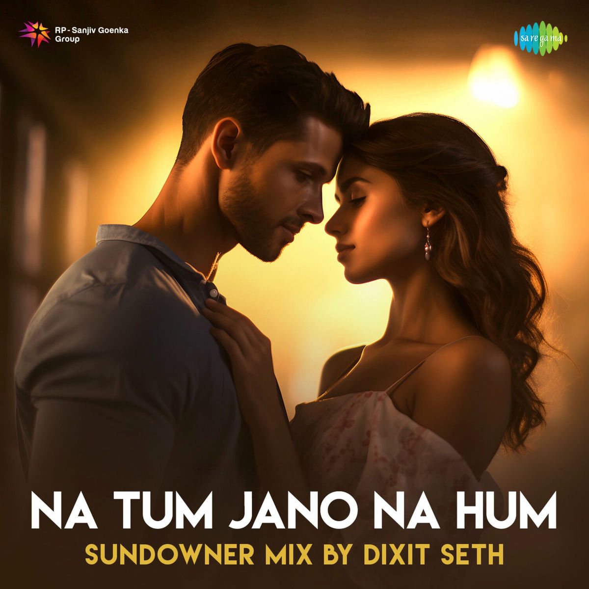 Album cover of Na Tum Jano Na Hum (Sundowner Mix)