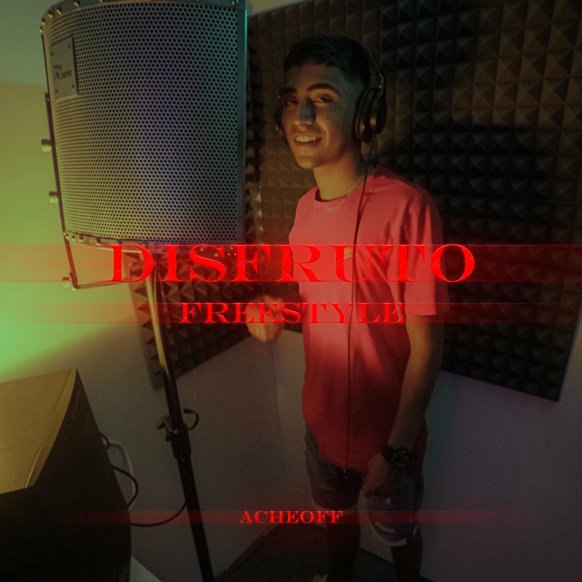 Album cover of Disfruto