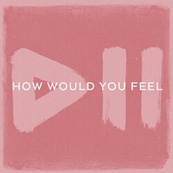 Cover of How Would You Feel