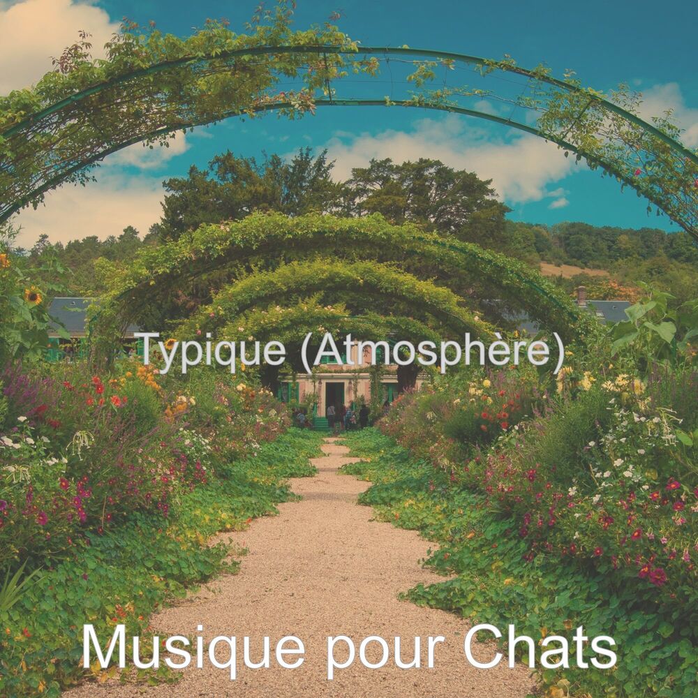 Picture of Typique (Atmosphère)