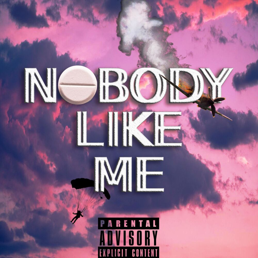 Picture of Nobody Like Me