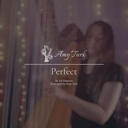 Cover of Perfect
