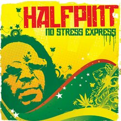 Cover of No Stress Express