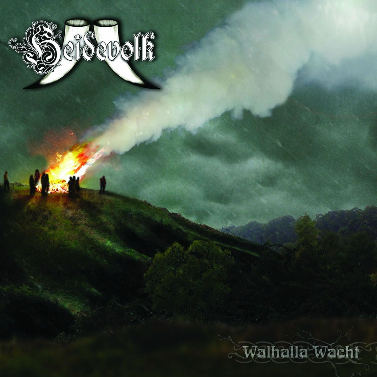 Album cover of Saksenland
