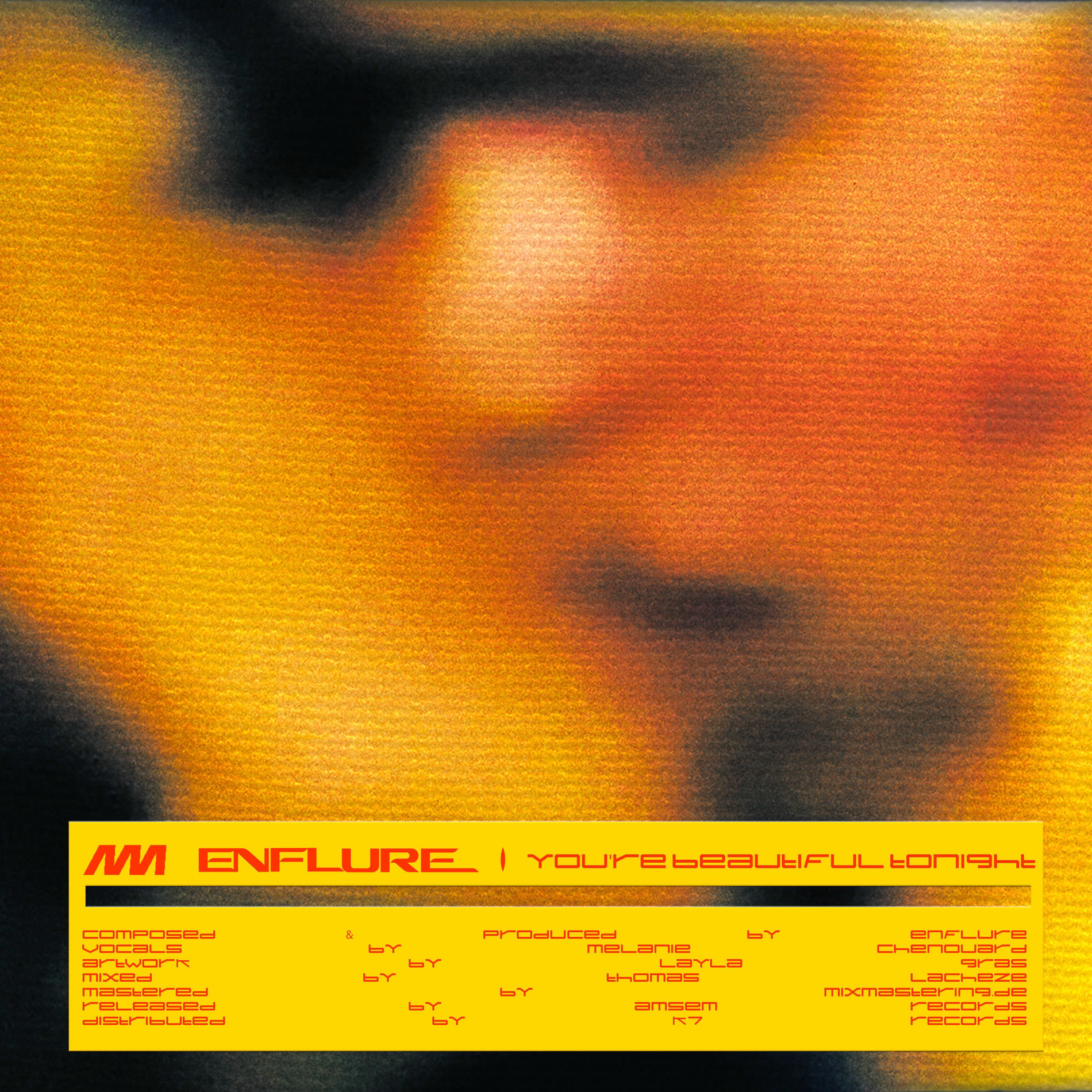 Album cover of You're Beautiful Tonight