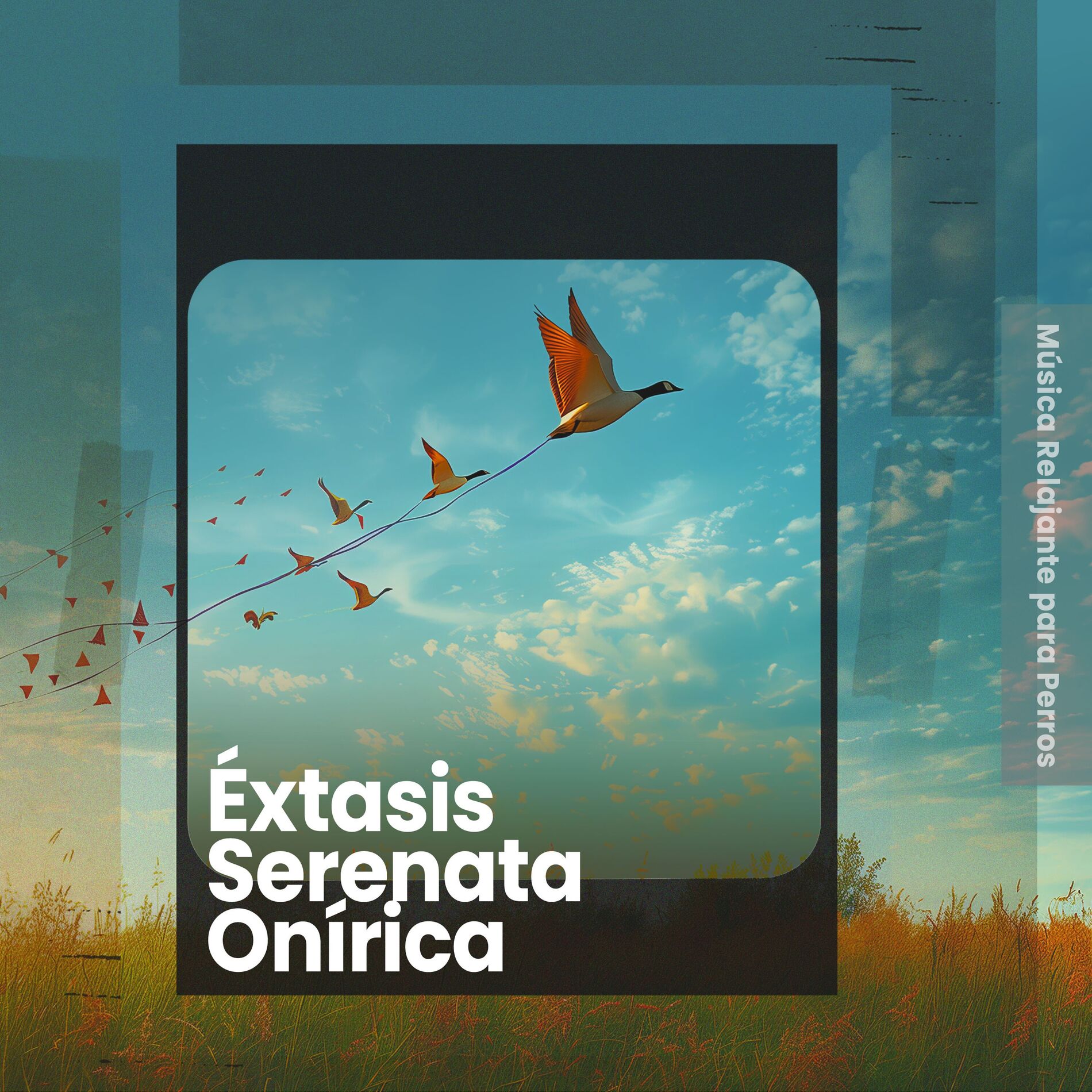 Album cover of Éxtasis Serenata Onírica