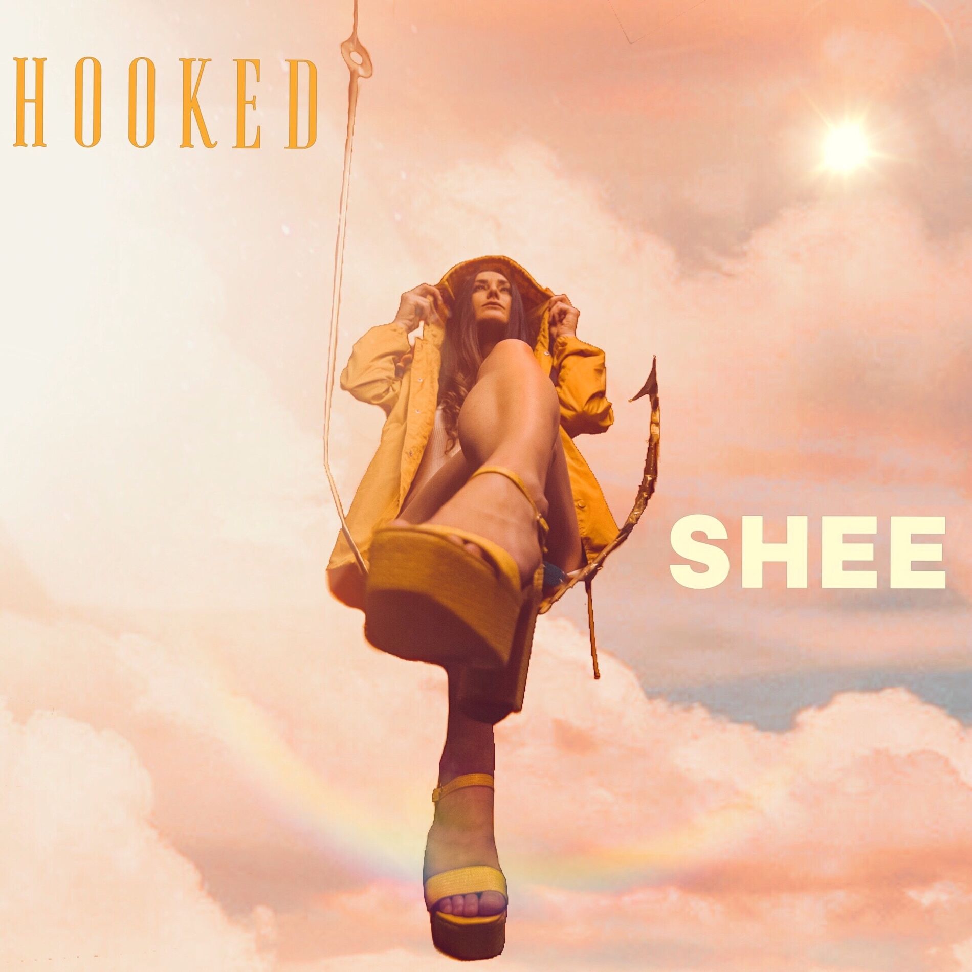 Album cover of Hooked