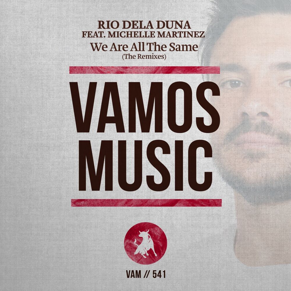 Picture of We Are All the Same (The Remixes)