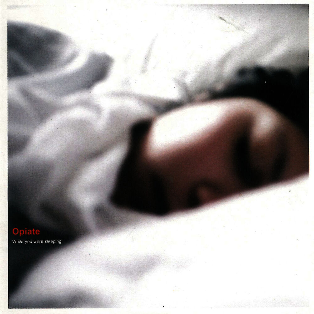 Picture of While You Were Sleeping