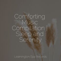 Cover of Comforting Music Compilation | Sleep and Serenity
