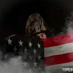 Cover of vampires bleed at night