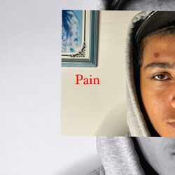 Cover of Pain