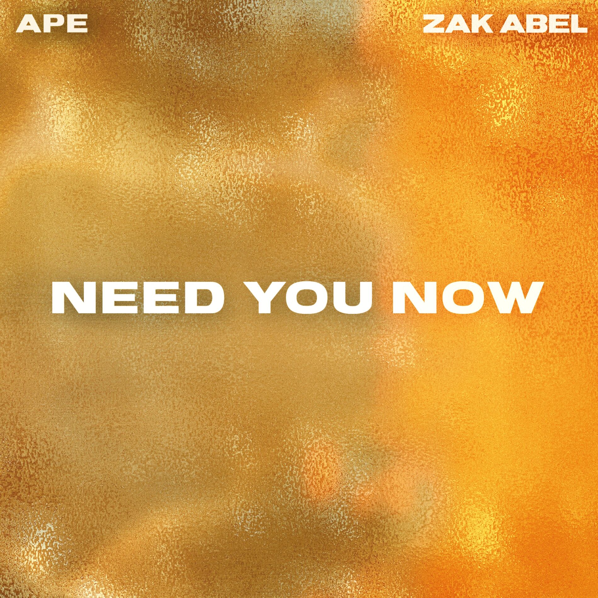 Album cover of Need You Now