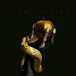 Cover of Black and Gold