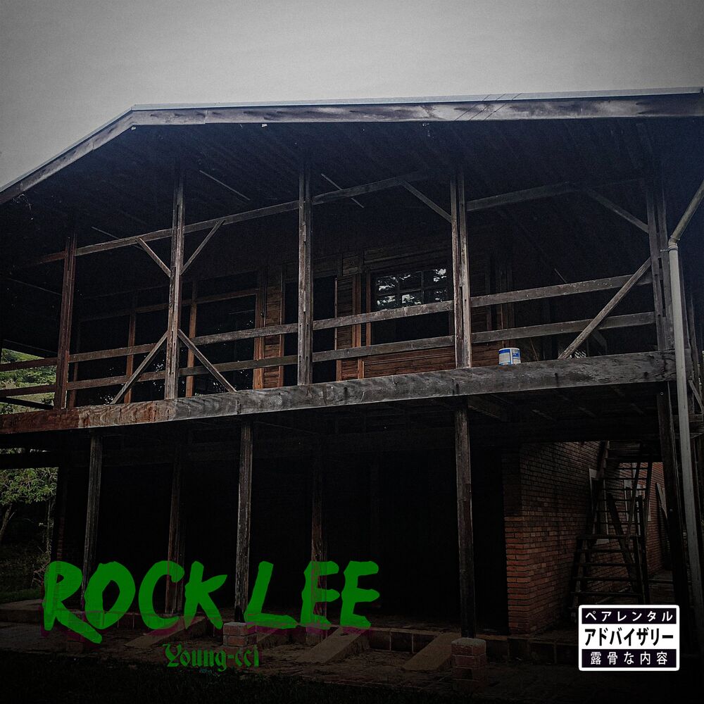 Picture of Rock Lee
