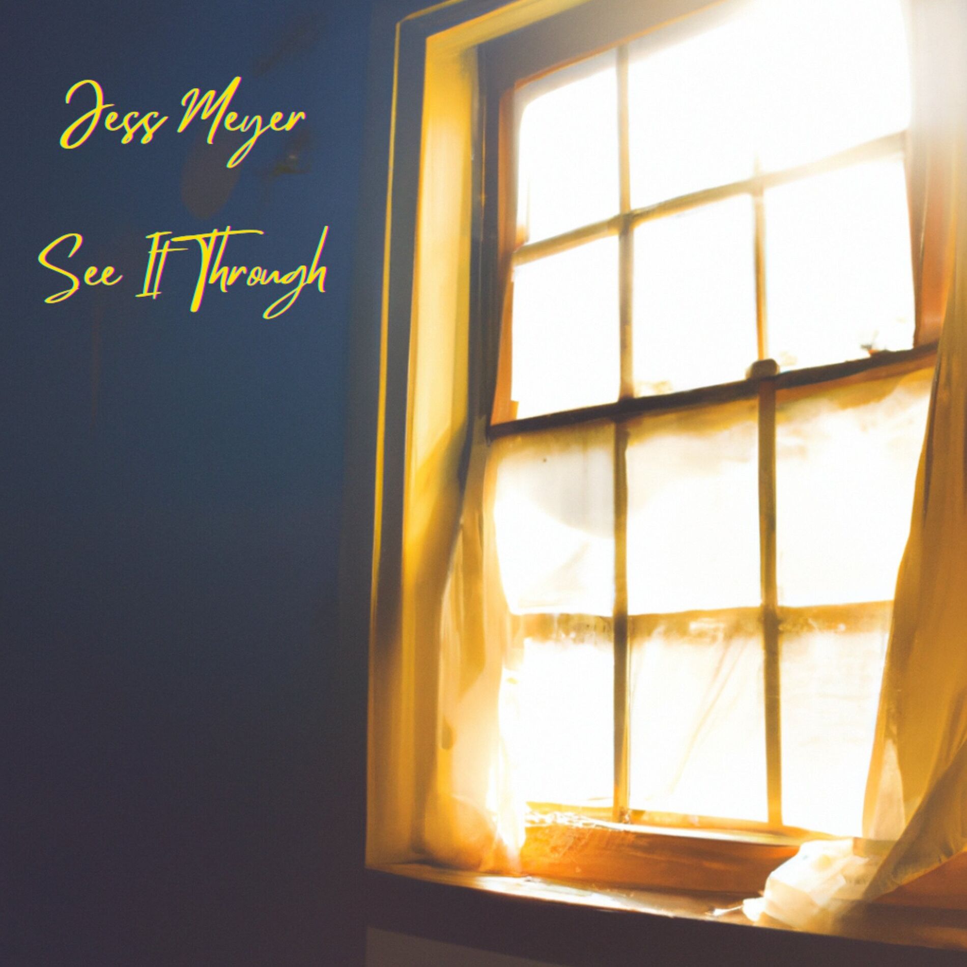 Album cover of See It Through