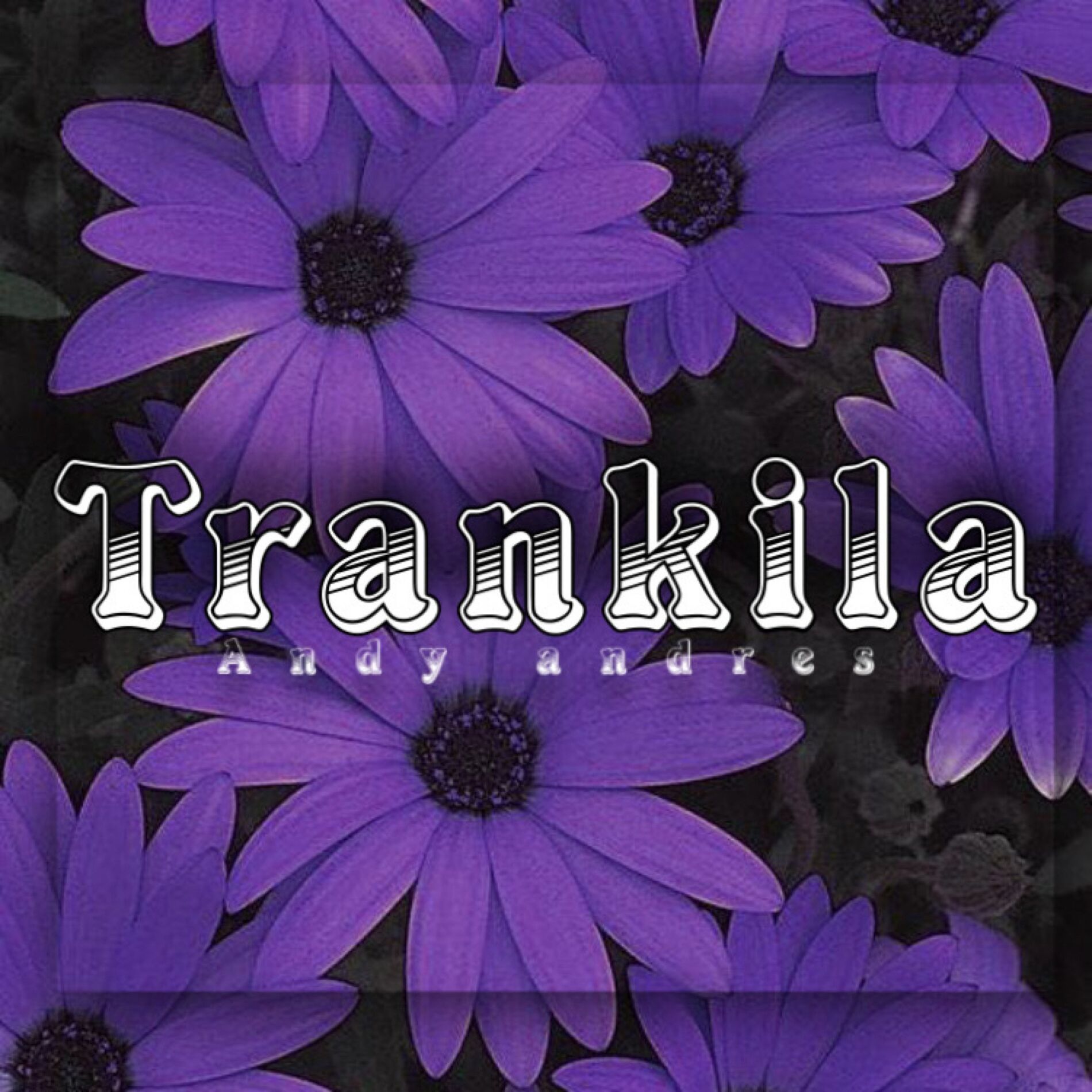 Album cover of Trankila