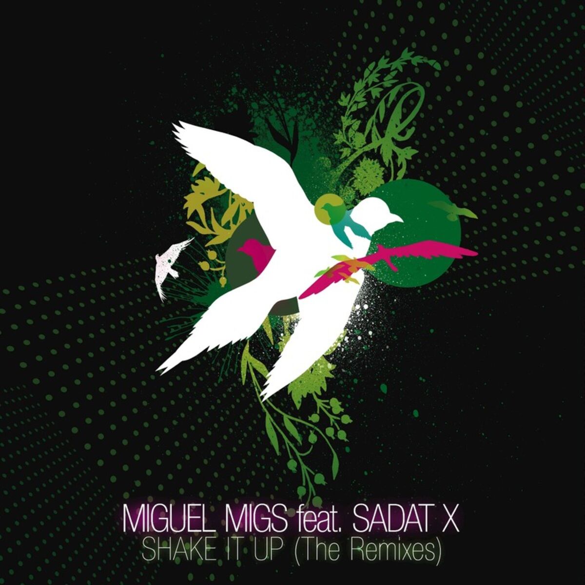 Album cover of Shake It Up (The Remixes)