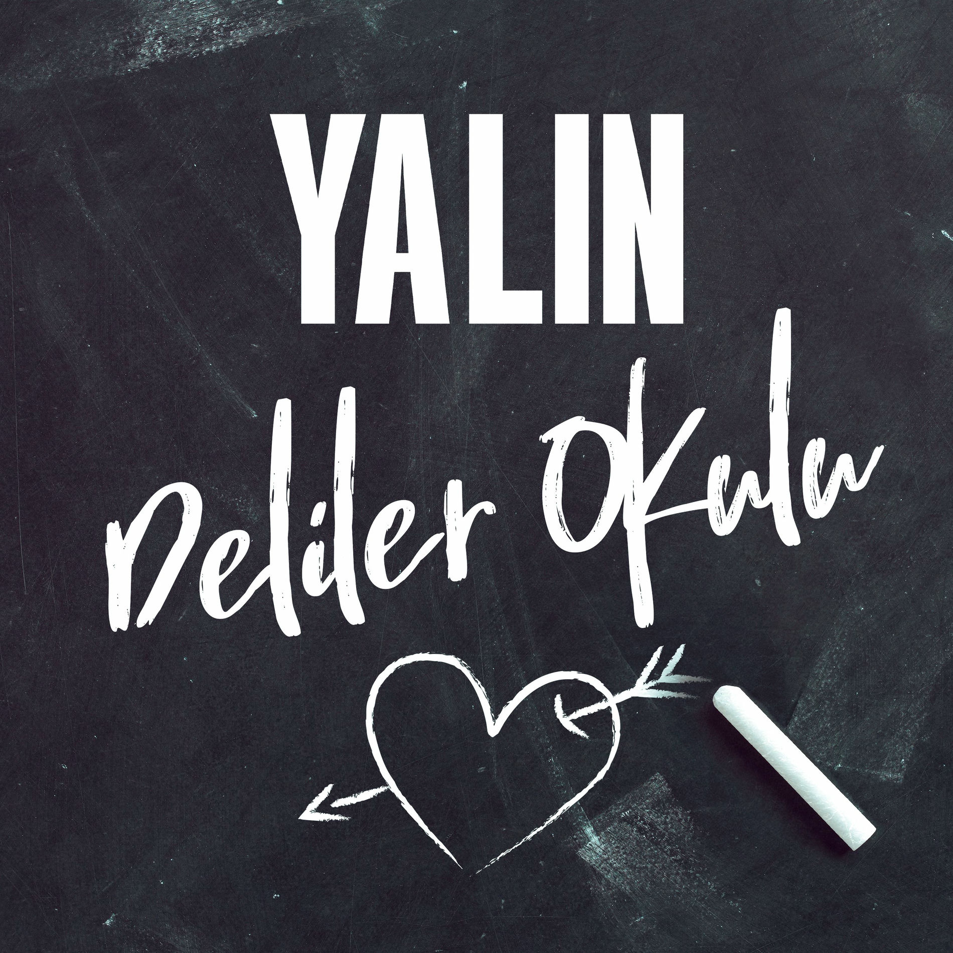 Album cover of Deliler Okulu