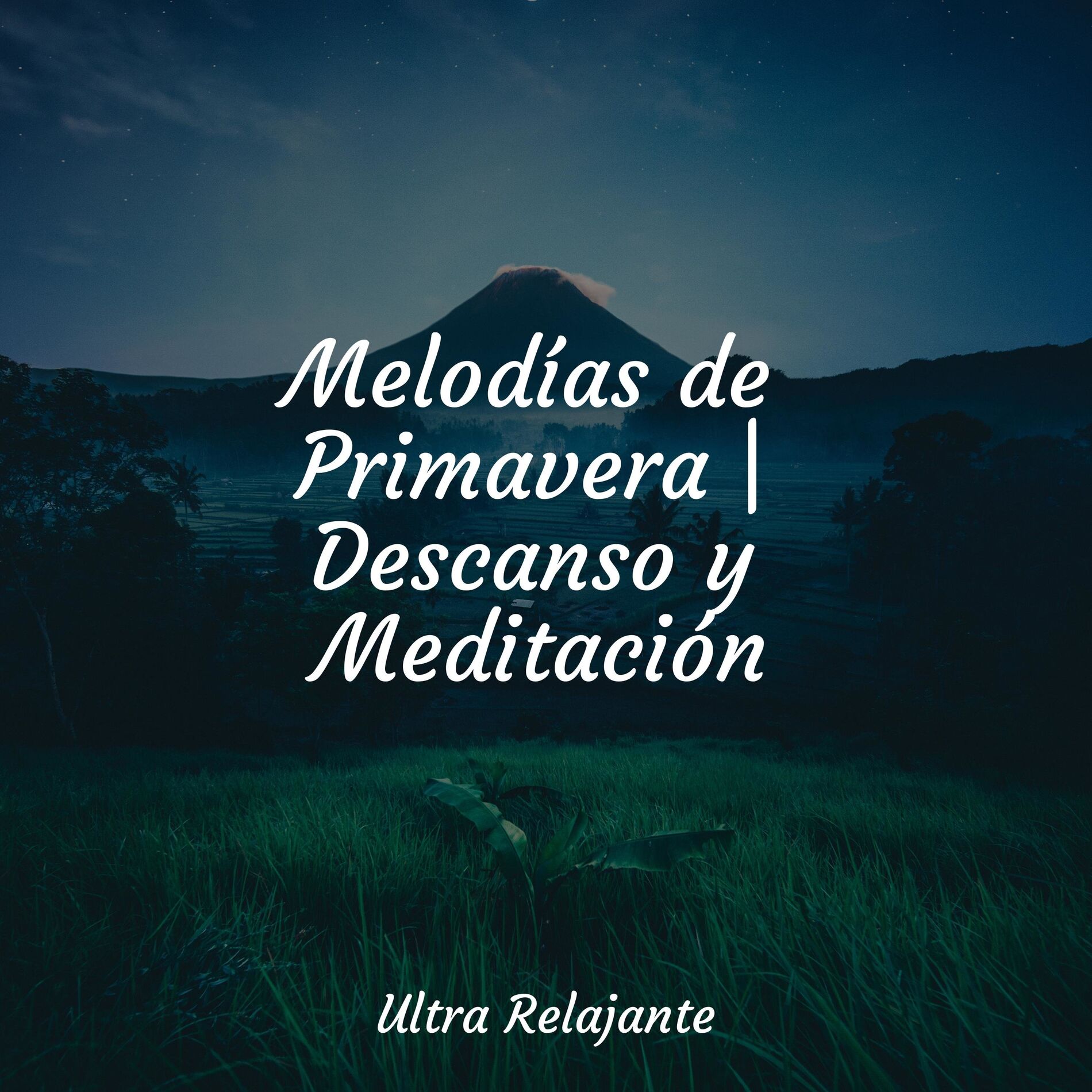 Album cover of Melodías de Primavera | Descanso y Meditación