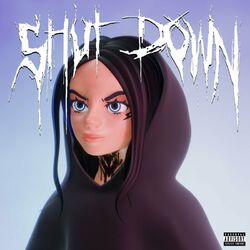 Cover of Shut Down