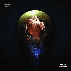 Cover of Lifted EP