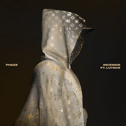 Cover of Incendie