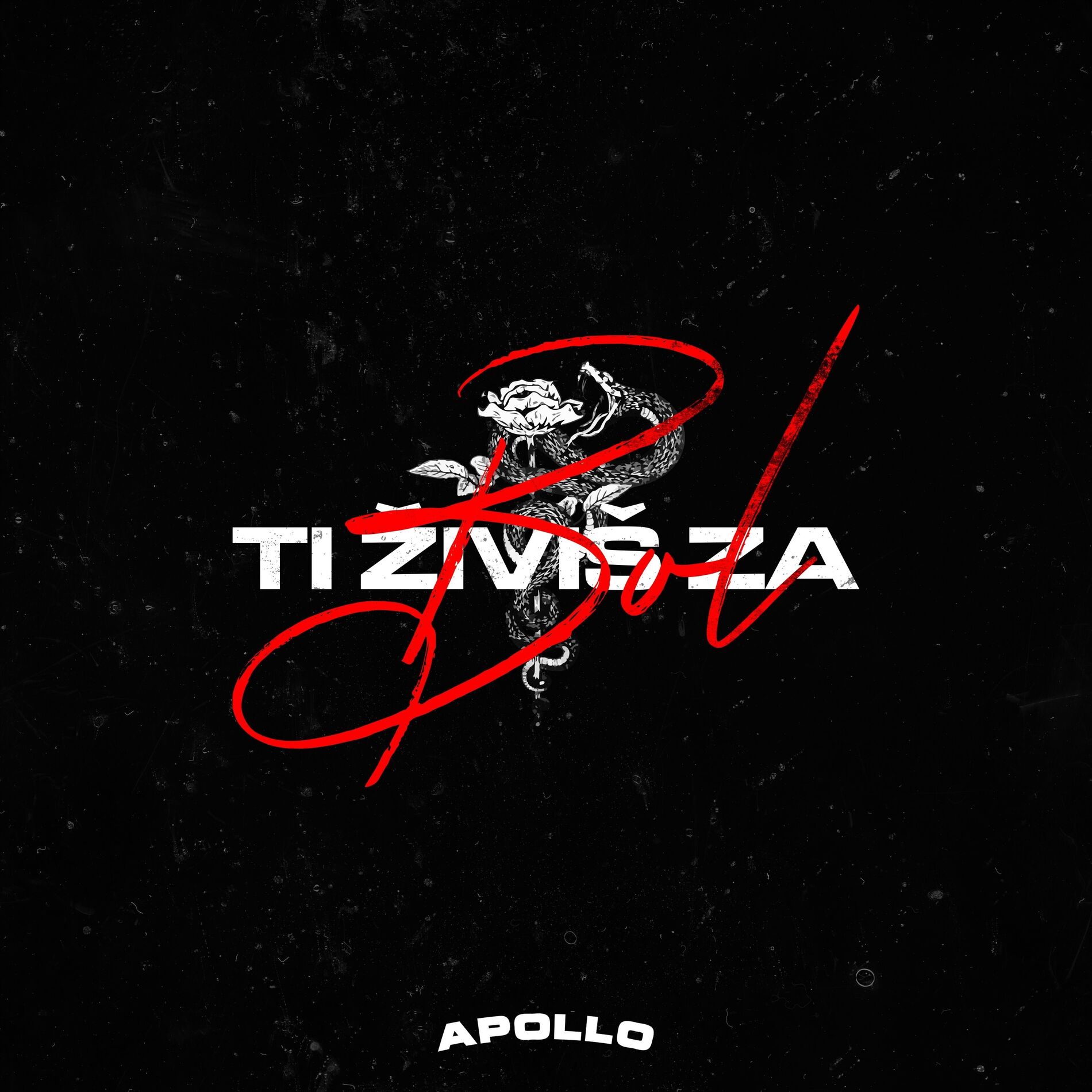 Album cover of Tiživišzabol