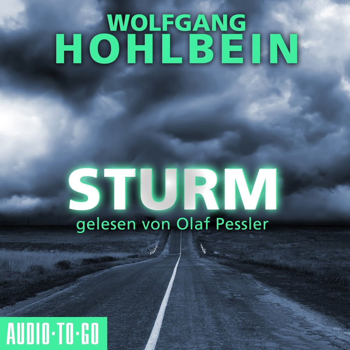 Album cover of Sturm (Gekürzt)