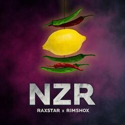 Cover of Nzr