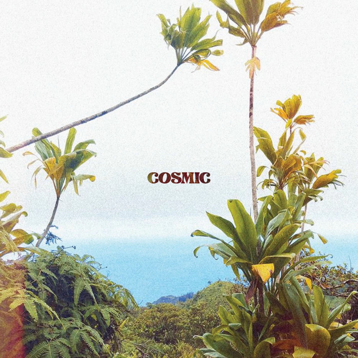 Album cover of Cosmic
