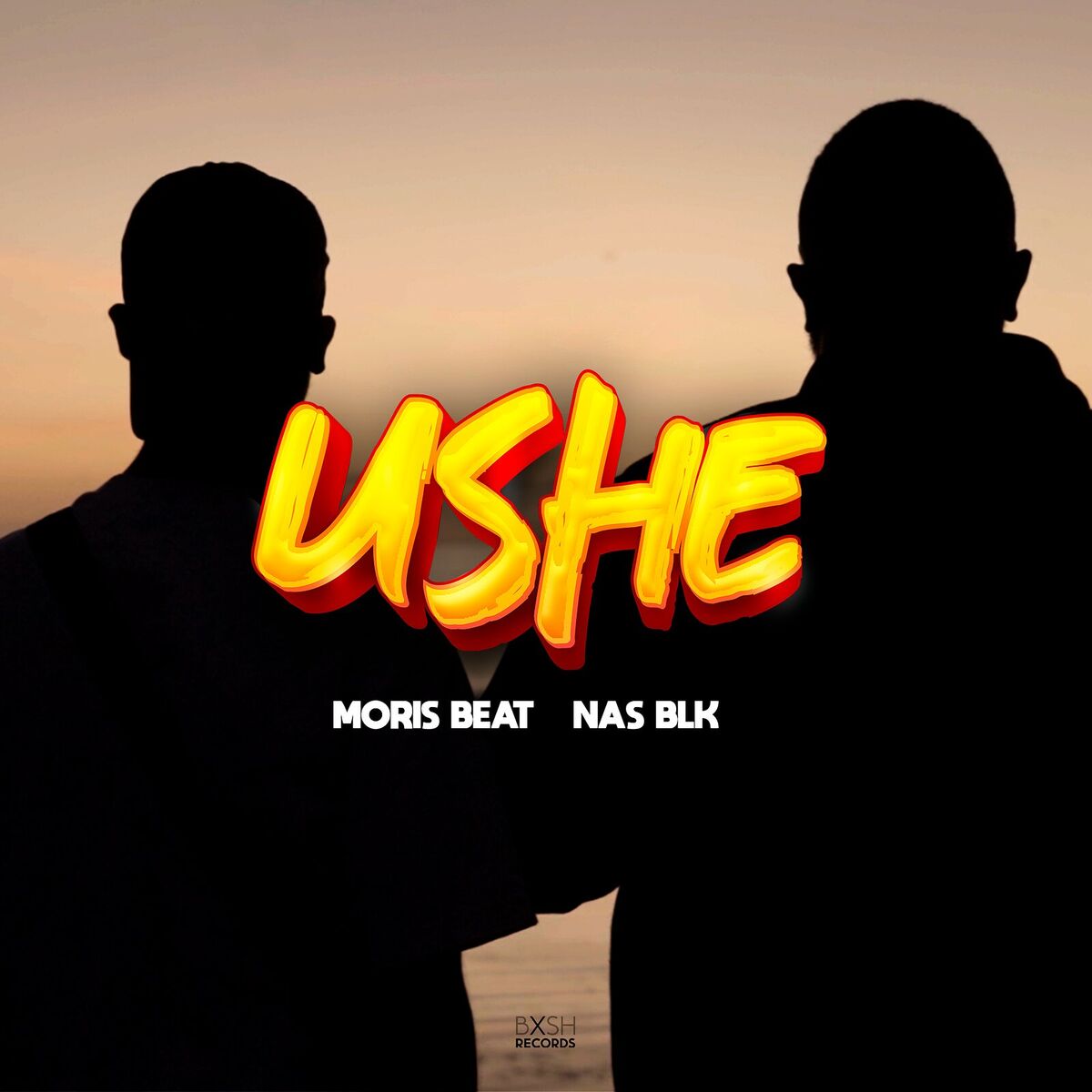 Album cover of Ushe