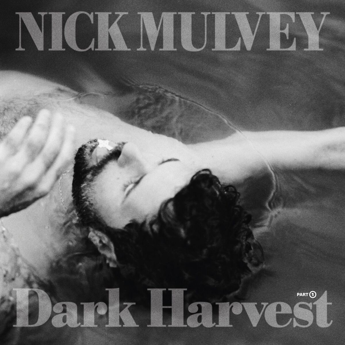 Album cover of Holy Days