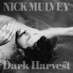 Cover of Radical Tenderness