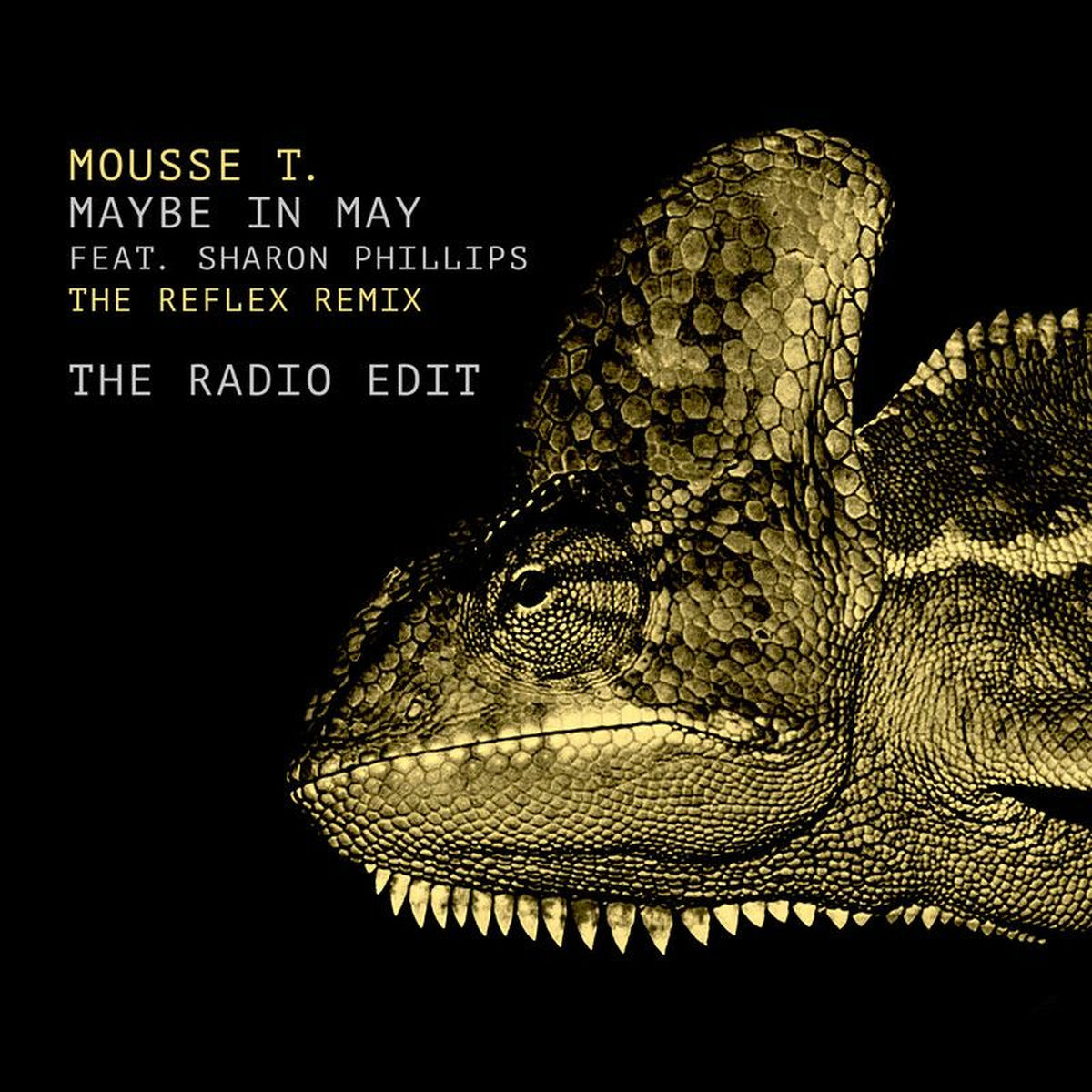 Album cover of Maybe in May (The Reflex Radio Edit)