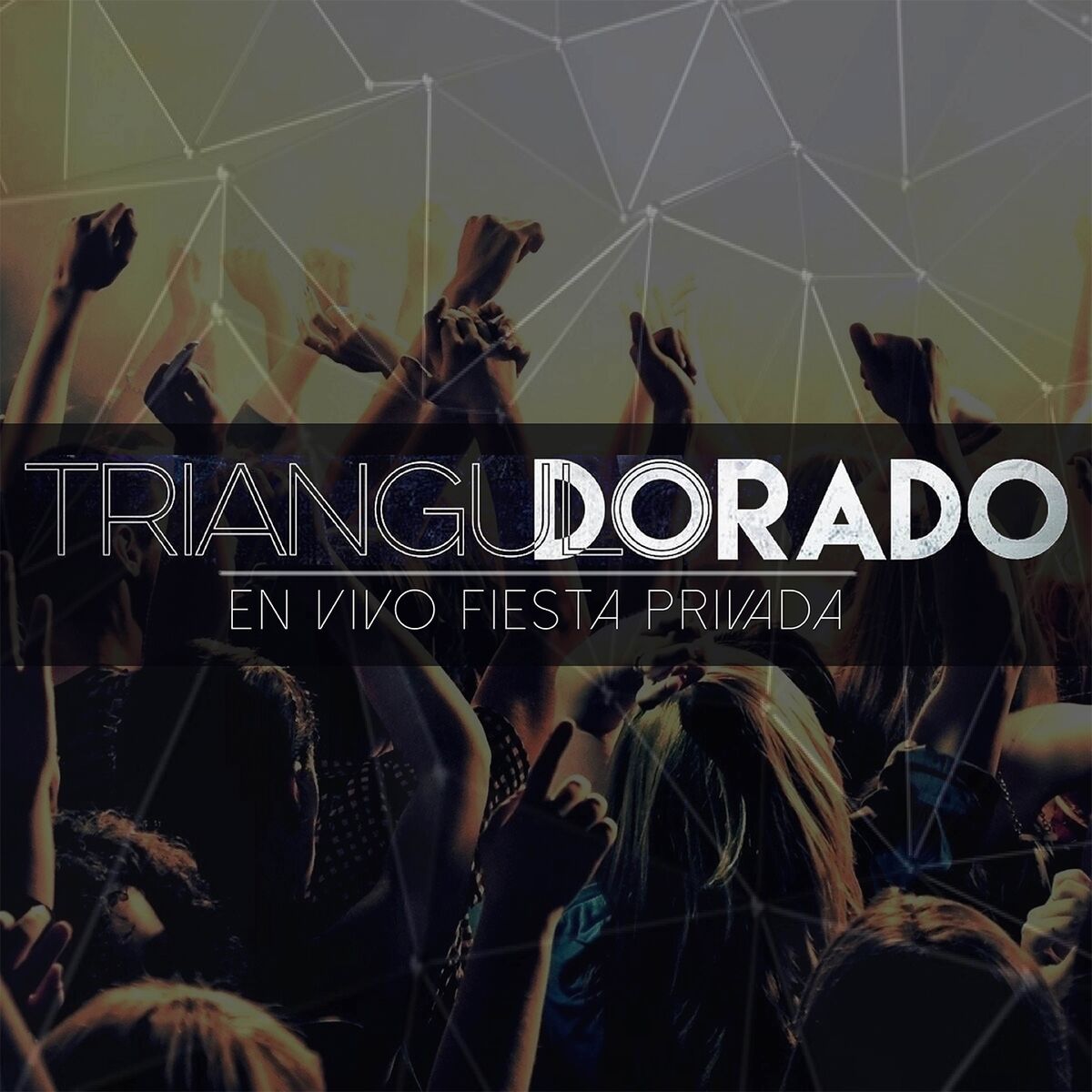 Album cover of Fiesta Privada (En Vivo)