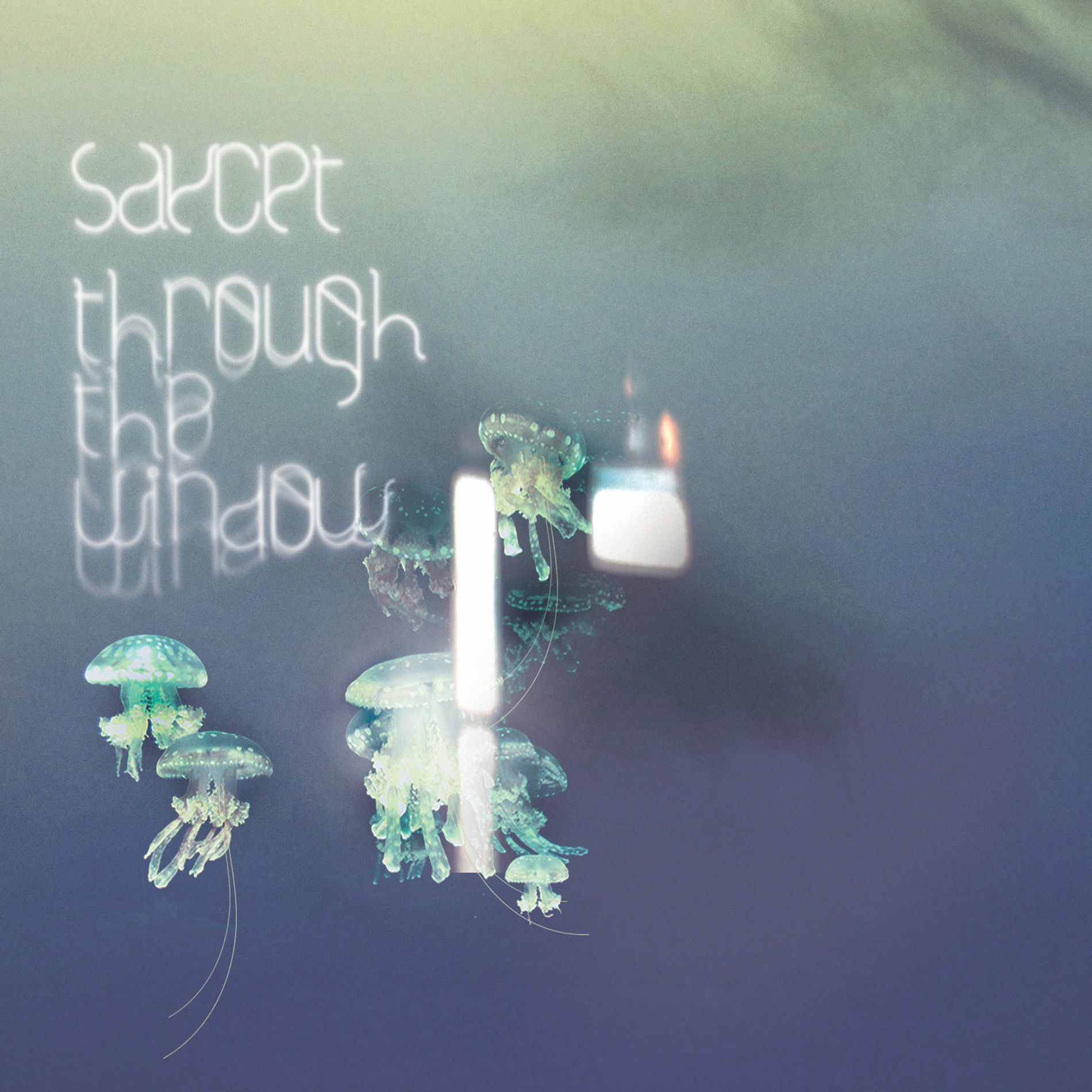 Album cover of 15