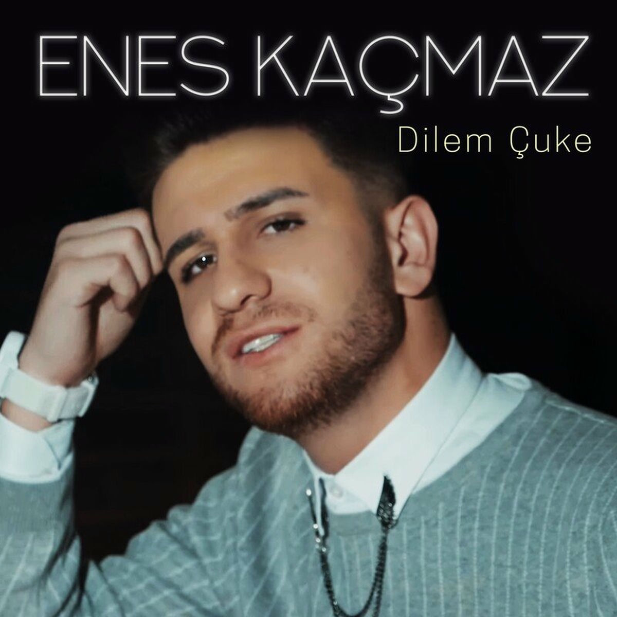 Album cover of Dilem Çuke