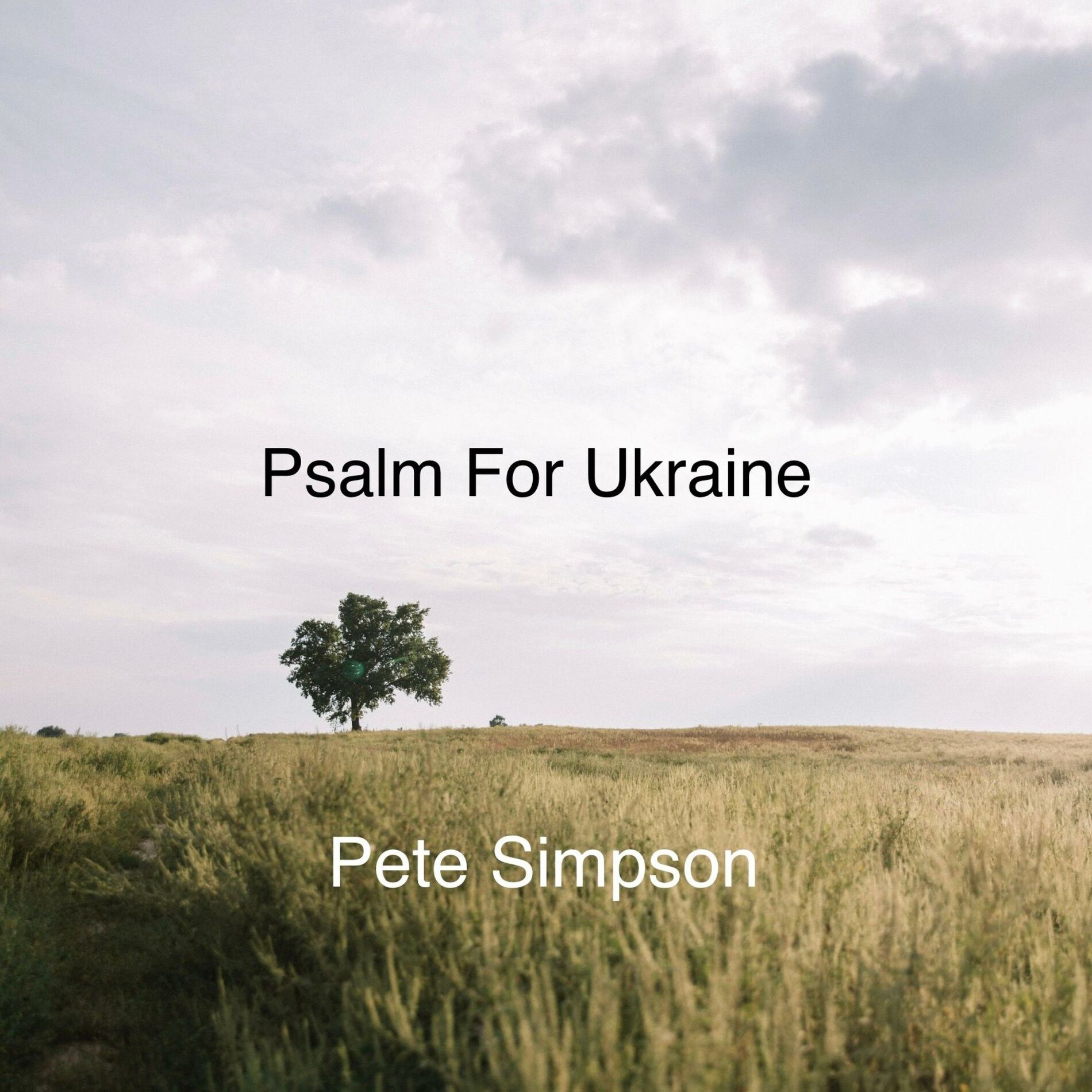 Album cover of Psalm For Ukraine