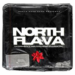 Cover of North Flava