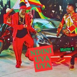 Cover of Ndini Uya Uya