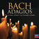 Suite No. 2 in B minor, BWV 1067 : J.S. Bach: Suite No. 2 in B minor, BWV 1067: 3. Sarabande by Irena Grafenauer album cover