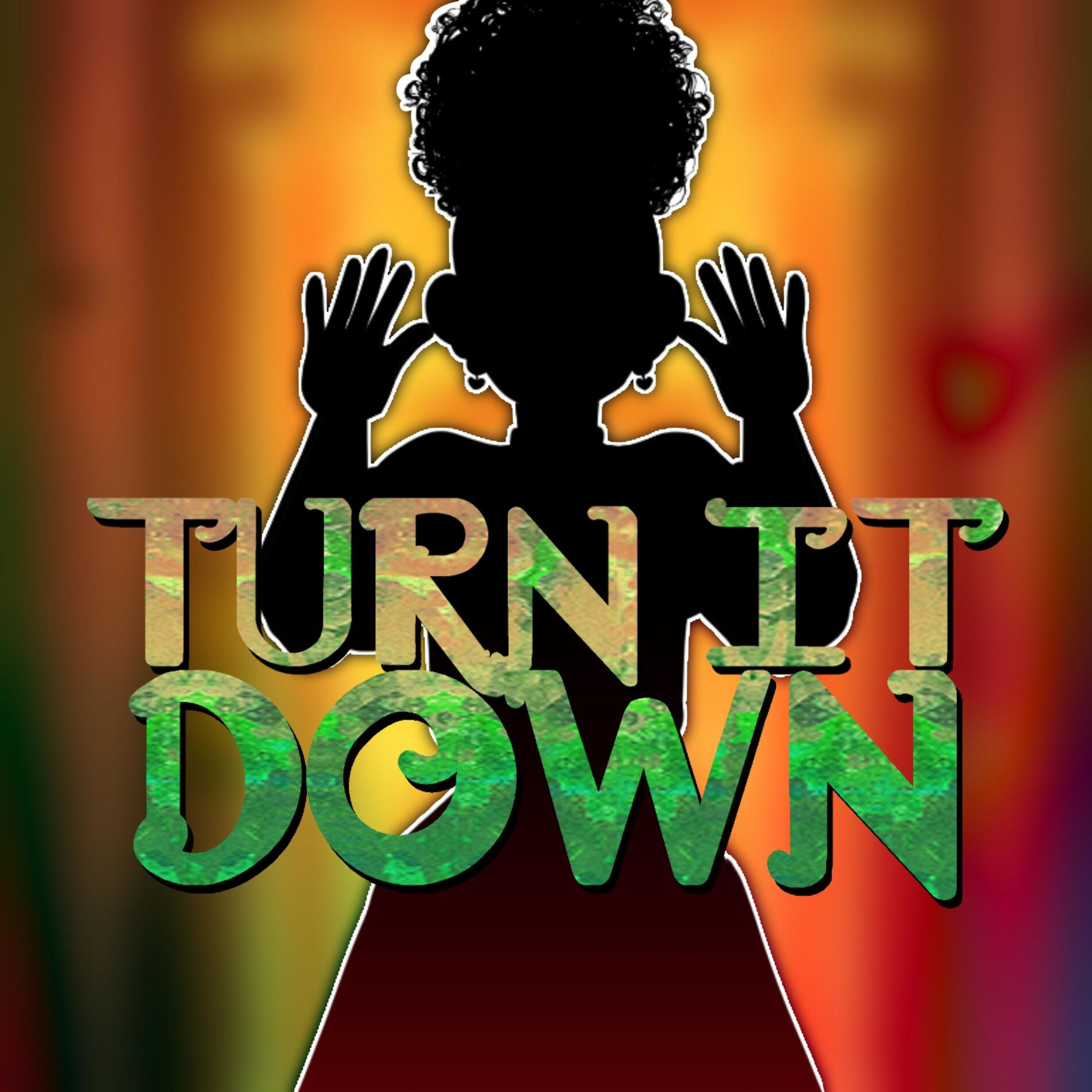 Album cover of Turn It Down
