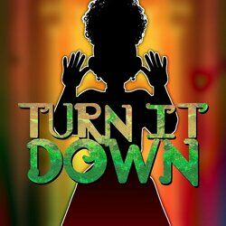 Cover of Turn It Down
